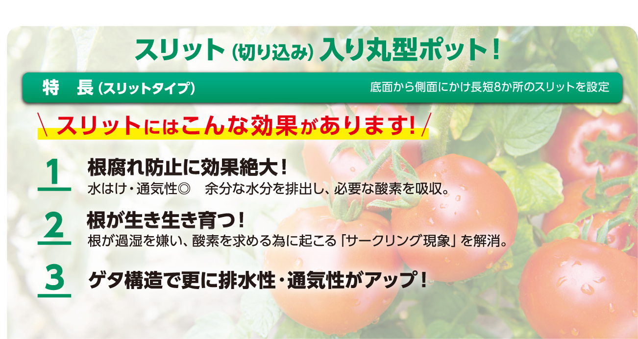 根腐れ防止に効果絶大！根が生き生き育つ！ゲタ構造で更に排水性·通気性がアップ！